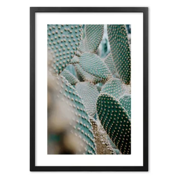 Kaktus Botanická Fotografie na Stenu Umenie papiera pre Tlač Maľovanie Nordic Plagáty A Vytlačí na Stenu Obrázok Pre Obývacia Izba Dekor
